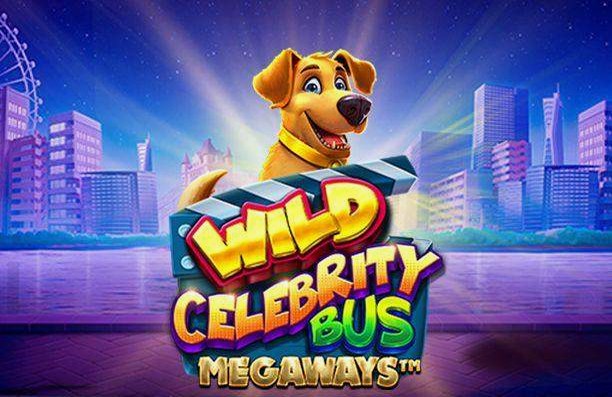 Wild Celebrity Bus